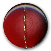 Bouton rouge en polyester  et mtal dor en 28 mm